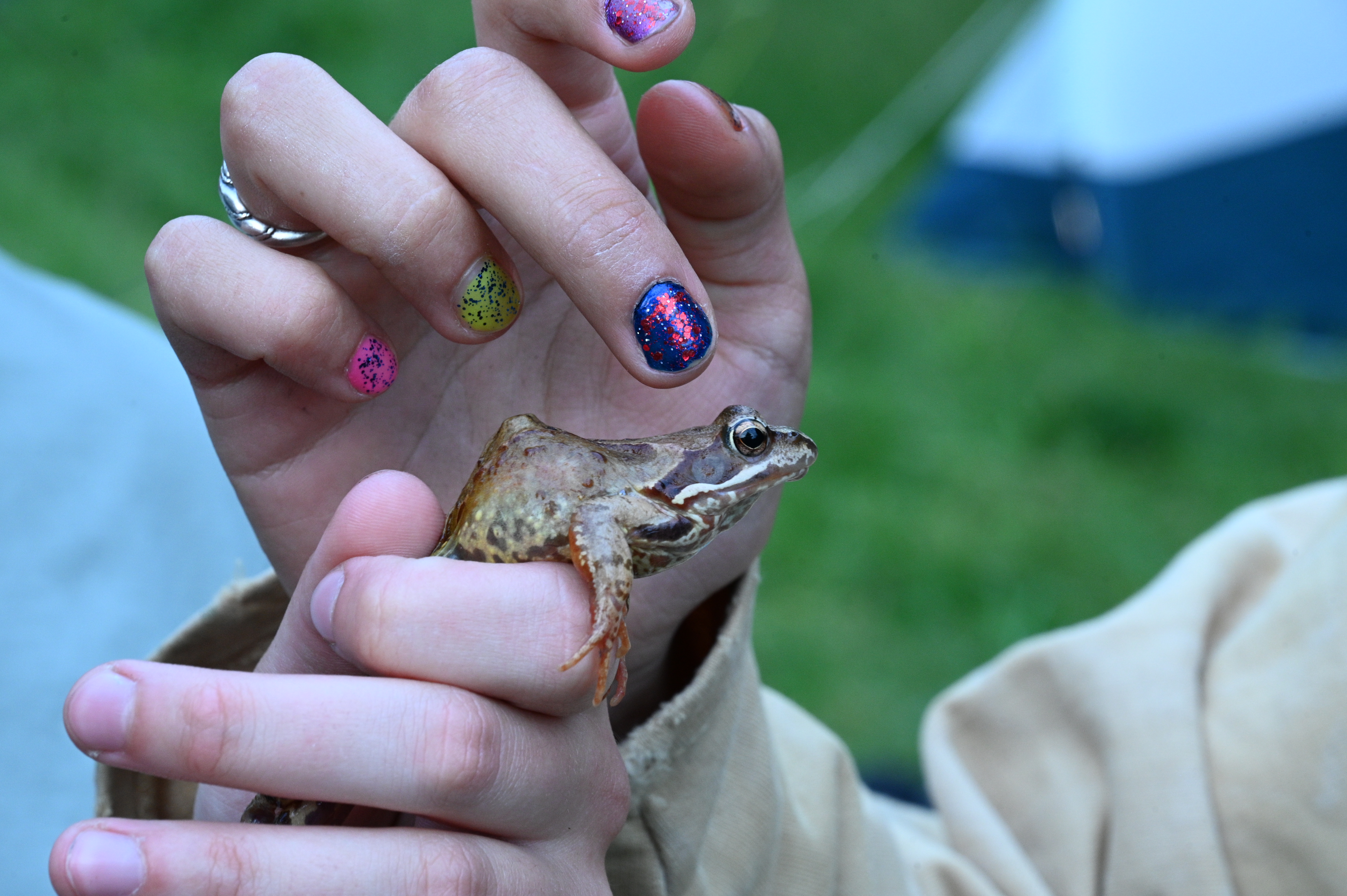 2025/07/09-14 - trip/DSC_0056.JPG